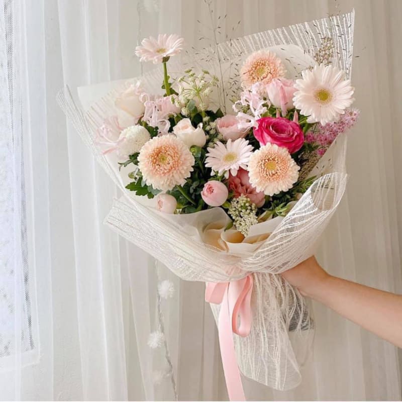 Hoa đồng tiền