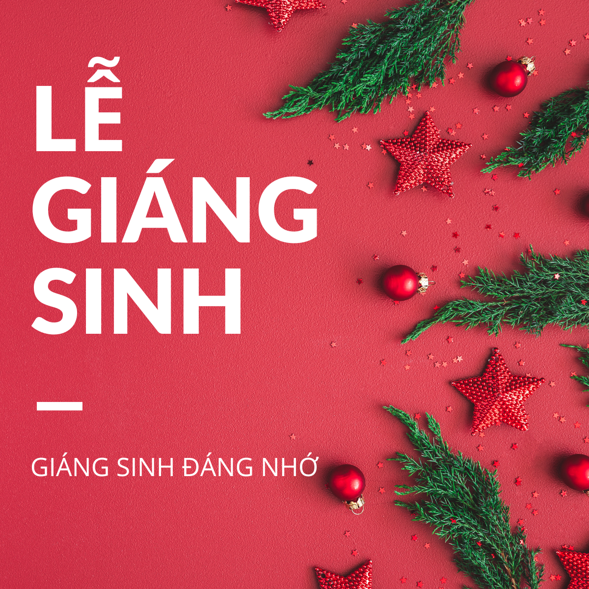 Ý nghĩa hoa tặng giáng sinh ấm áp