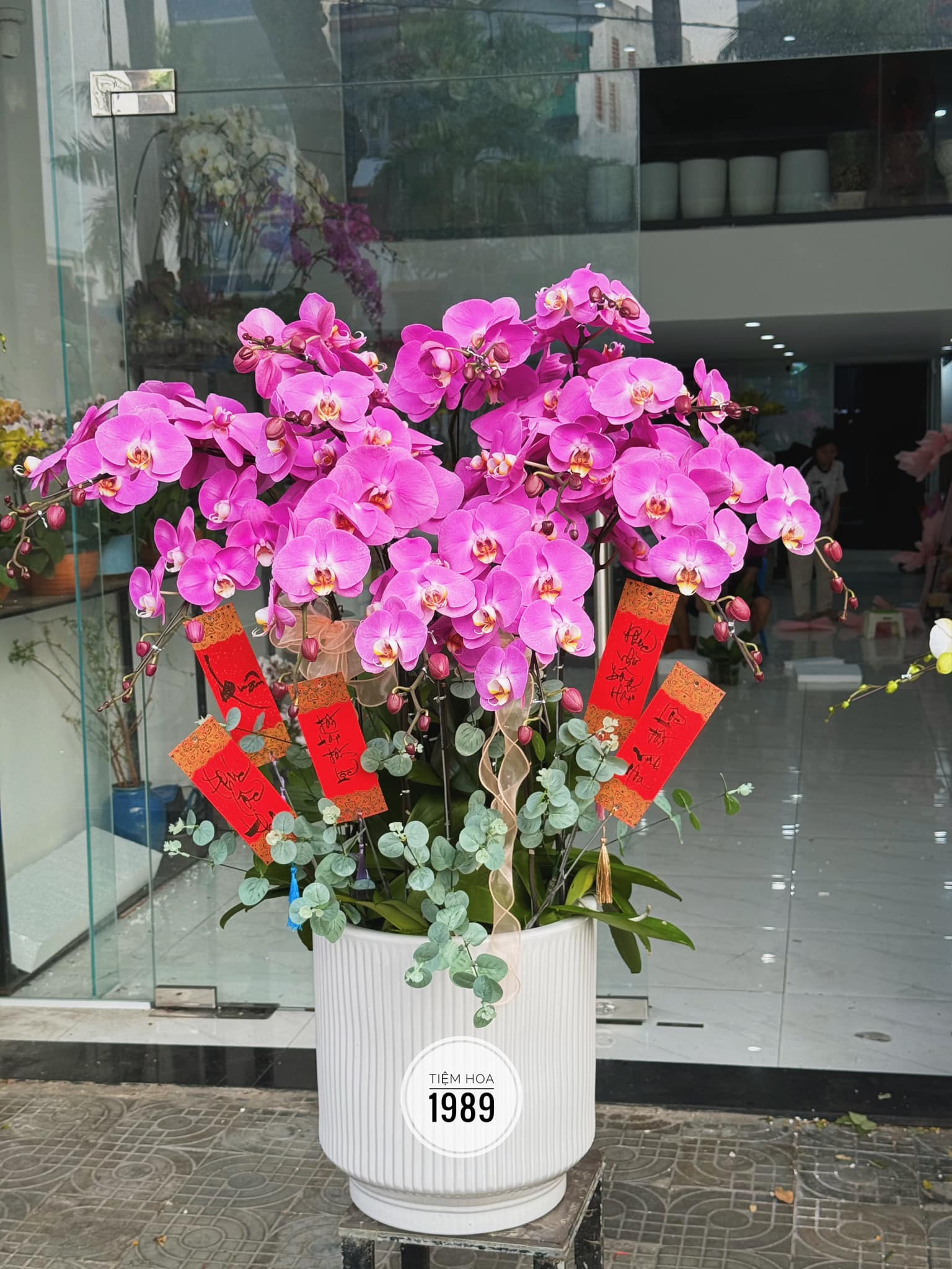 Lan Hồ Điệp 10