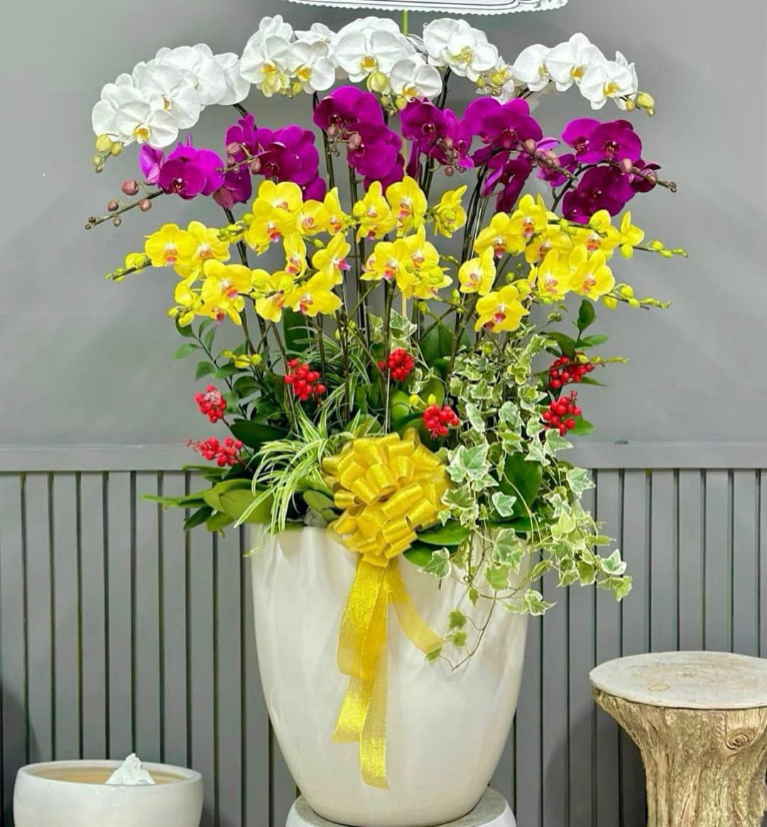 Lan Hồ Điệp 19