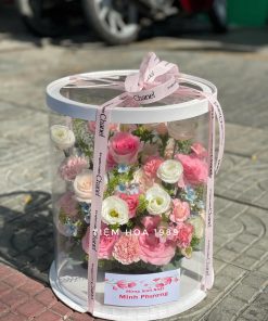 Hoa hộp 19
