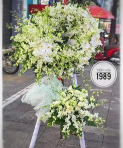 Kệ Hoa Tang 25