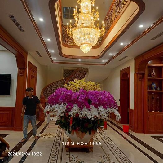 Lan Hồ Điệp 12