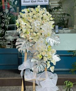 Kệ Hoa Tang 12