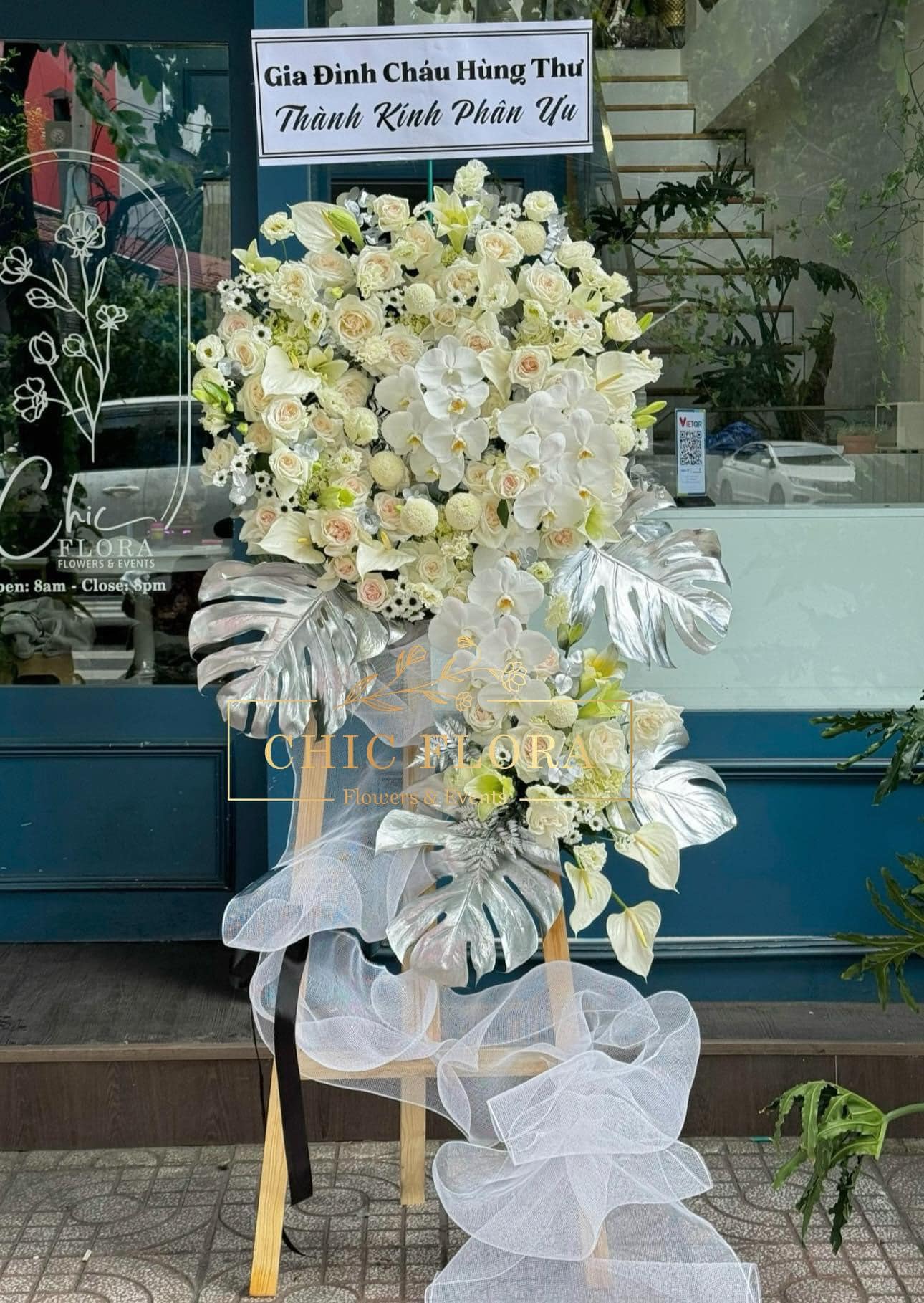 Kệ Hoa Tang 12