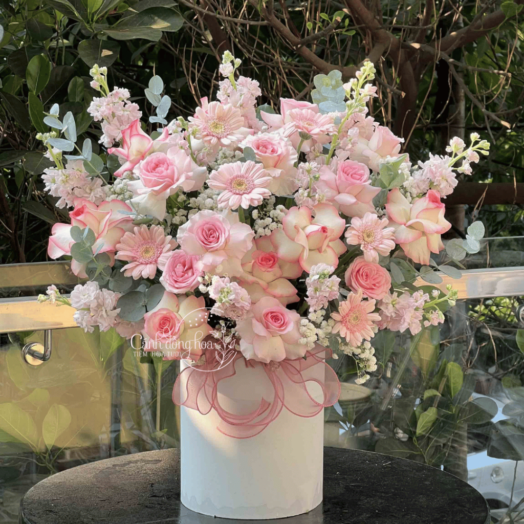 Hoa Hồng Màu Pastel